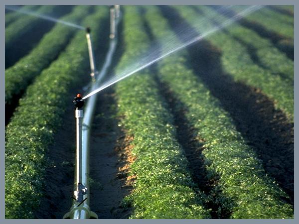 中国塑料节水灌溉产品在农业现代化中的应用技