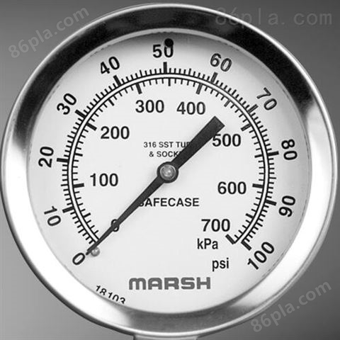 美国MARSH压力表+温度计