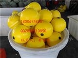 FQ-80汉江直径80PE浮球 填充聚氨酯浮球 拦截浮球生产厂家