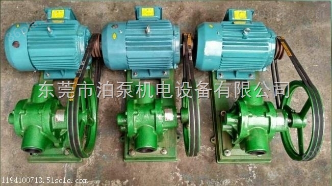 澄海 泊威机电 皮带轮泵 专业快速 厂家