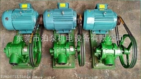 澄海 泊威机电 皮带轮泵 专业快速 厂家