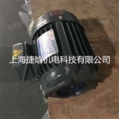 C03-43B0 2.2KW-4内插式油泵电机