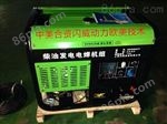野外发电焊机 300A柴油发电电焊机