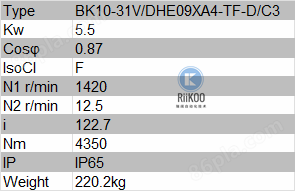 BAUER减速机BF70-04WD11MA4-TF-DK70 瑞阔自动化  riikoo.png